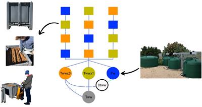 Fate of emerging contaminants in the soil-plant system: a study on durum wheat irrigated with treated municipal wastewater